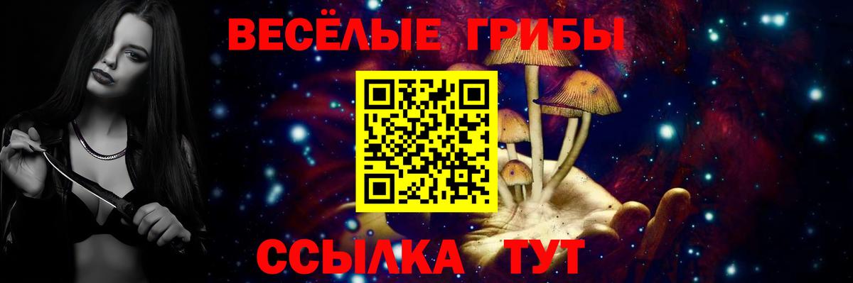 Галлюциногенные грибы ЛСД Карпинск